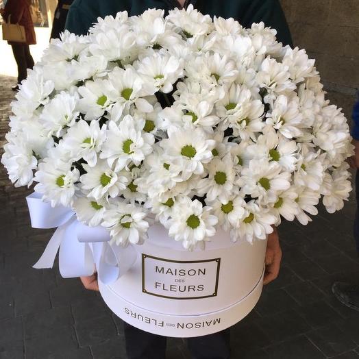 Ромашковые хризантемы в Коробке