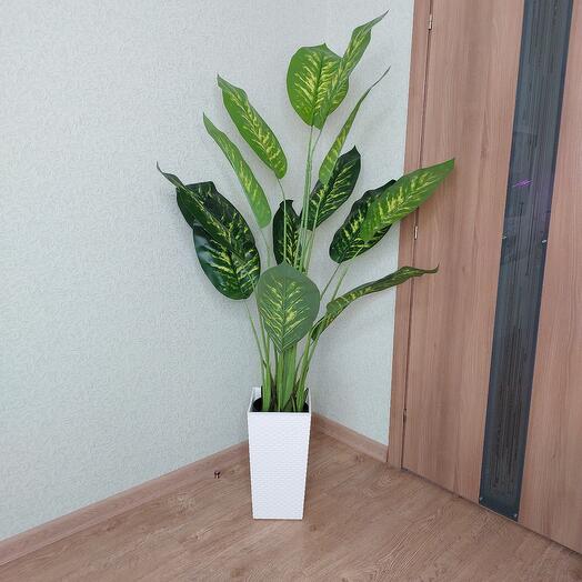 Dieffenbachia artificial