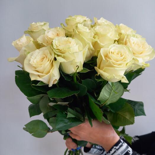 Rosas Mondial 15 piezas