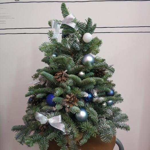 Елочка из датской пихты в синем