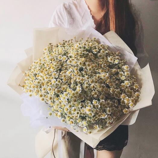 Bouquet of 51 chamomile