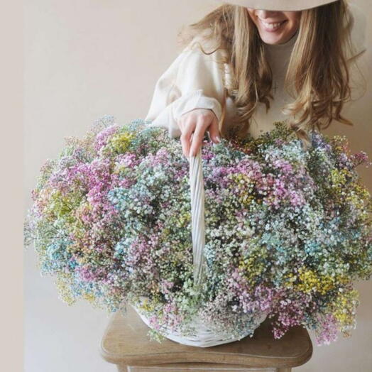 Basket with gypsophila