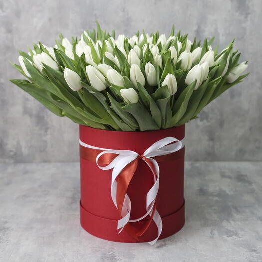 51 White Tulips Box