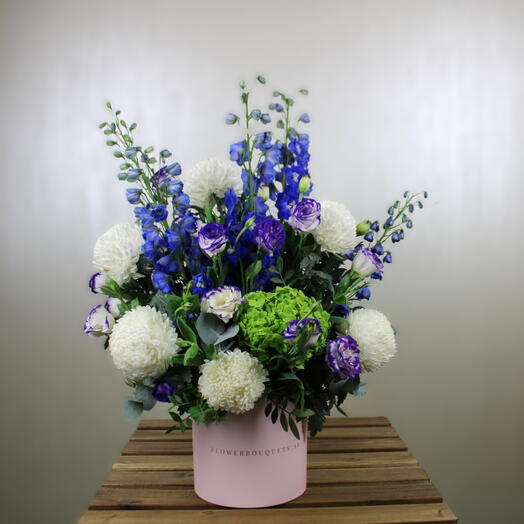 Delphinium Hydrangea Box