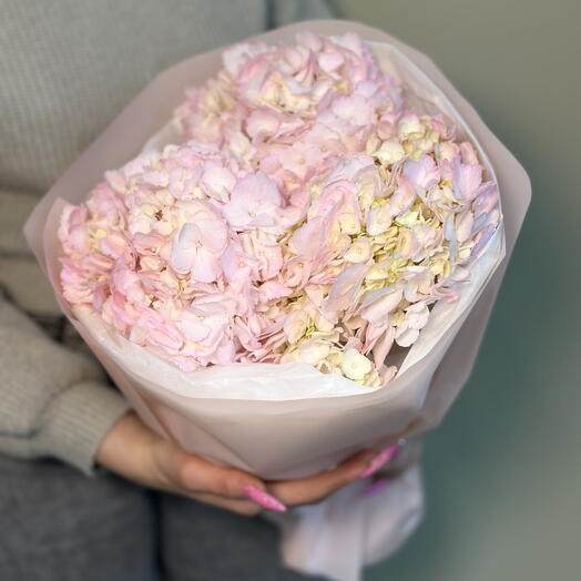 Букет из 3 розовых гортензий