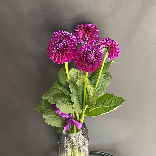 Космические фиолетовые 💜 георгины