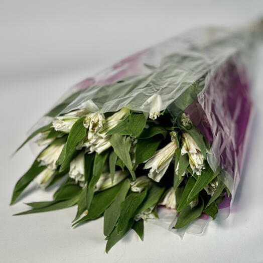 OPT Gentle Flowers