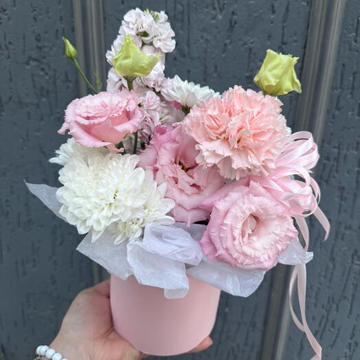 12Komplimentov