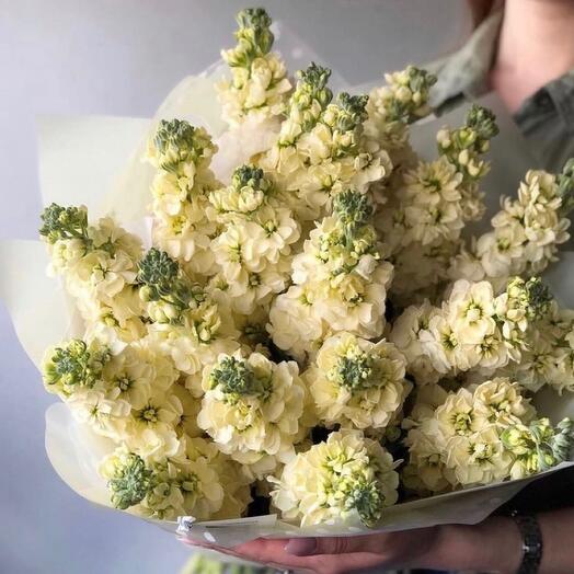 19 ароматных маттиол💛