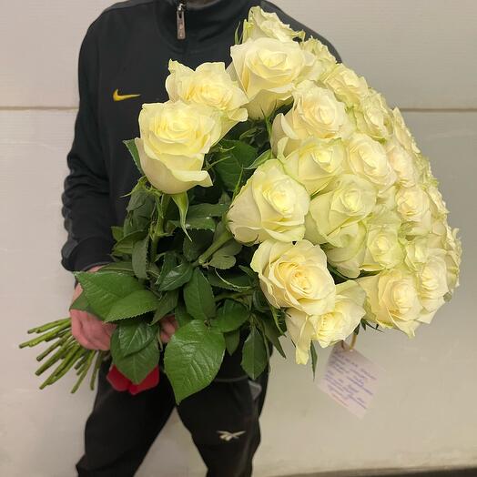 Rosas Blancas