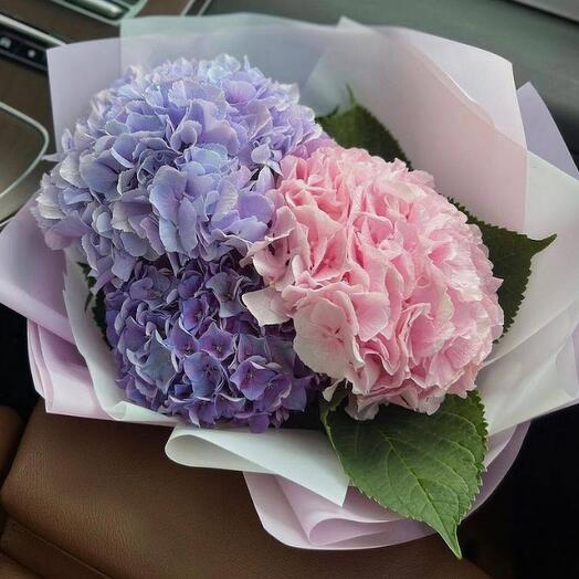 Boquet of 3 assorted hydrangeas