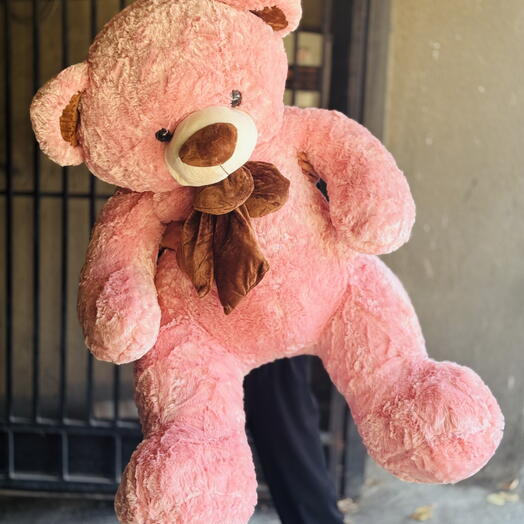 Teddy bear