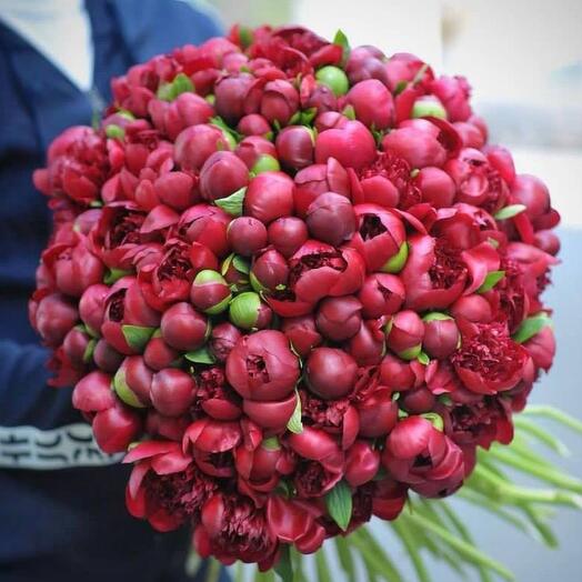 Bouquet of 101 vinous peonies