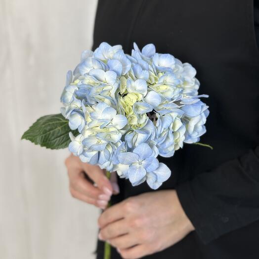 Flowers in a vase