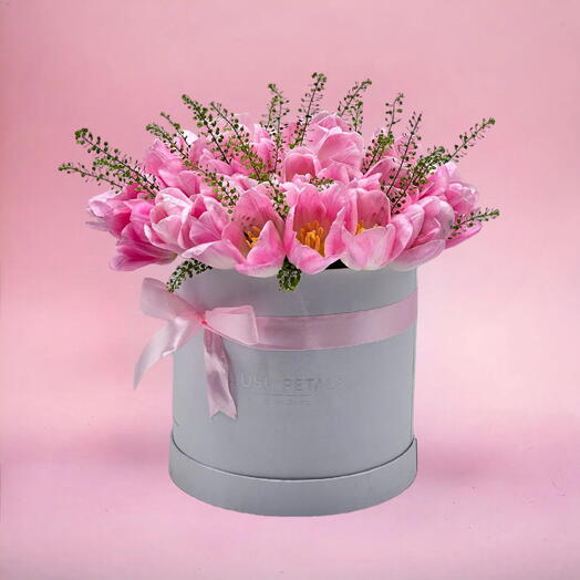 51 Pink tulip in box