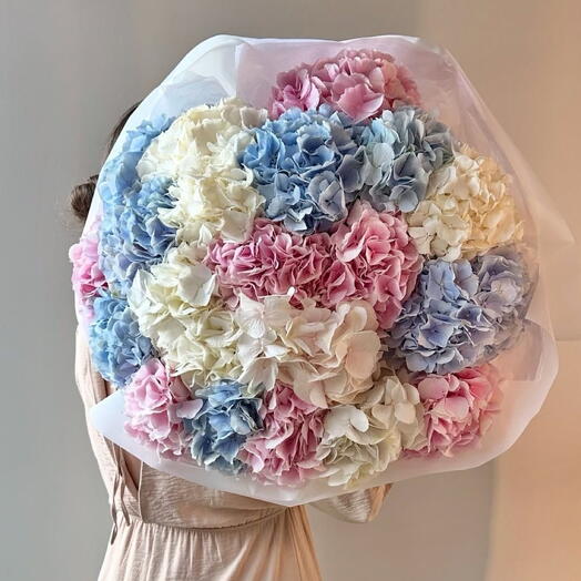 Моно Гортензия L