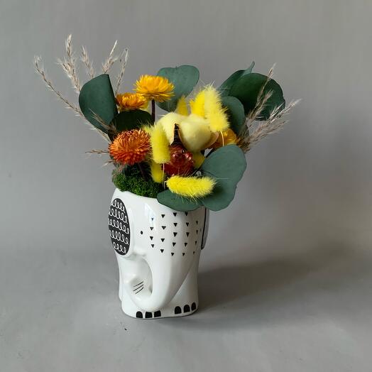 Композиция из сухоцветов «Желтый слоник» гелихризум | эвкалипт | хлопок