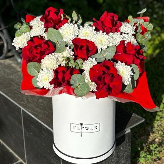 «Страсть и гармония»