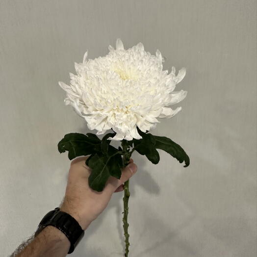 Stebelyok