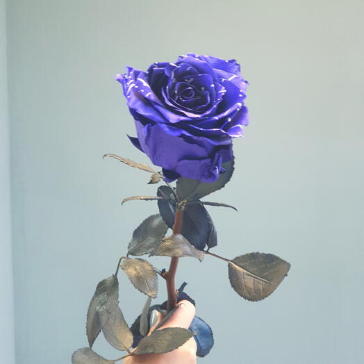 Balance flowers