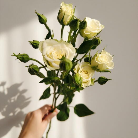 OK Flowers