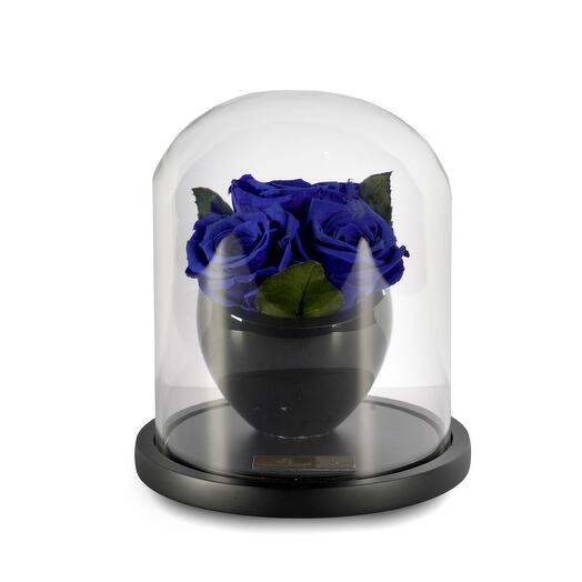 Royal Blue Preserved Roses in crystal vase Trio