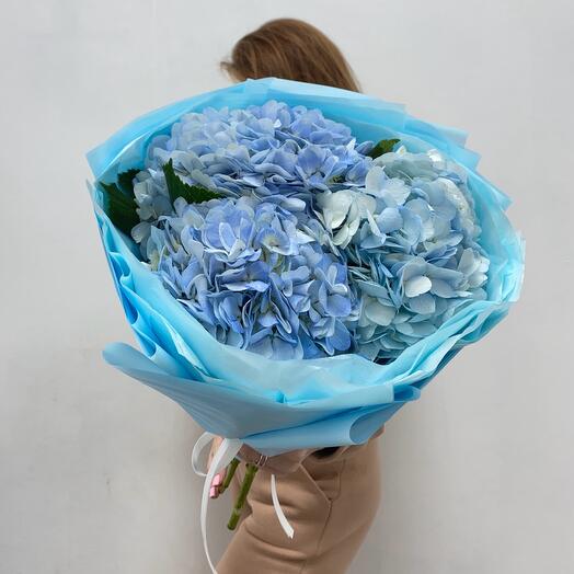 Ramo de 3 hortensias azules💙