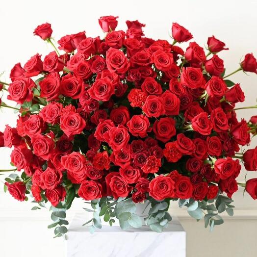 249 Red Roses in a box