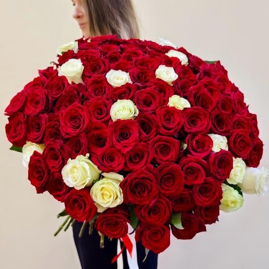 101 Роза Эквадор