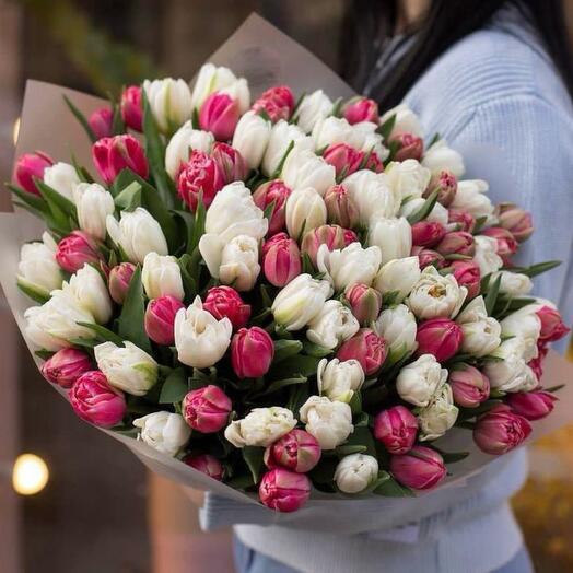 Bouquet of pink and white tulips 101