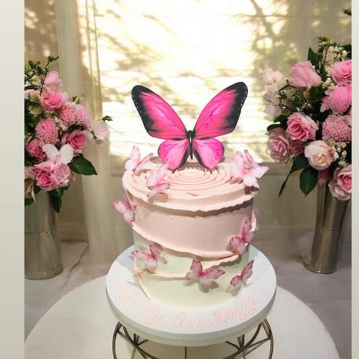 Pink Butterfly cake- lady Birthday