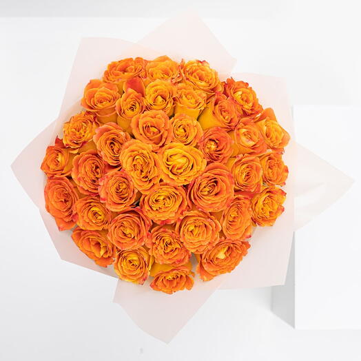 50 Orange Roses Elegance in Bloom