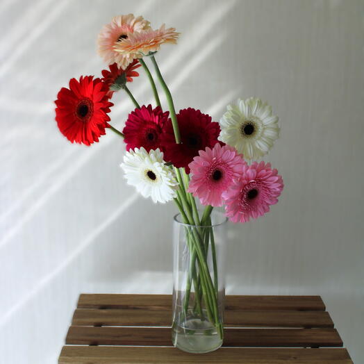 Gerbera Mix Vase