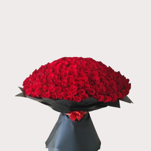 365Pcs Red Roses Bunch