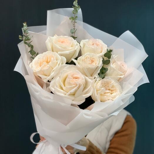 Розы White O hara