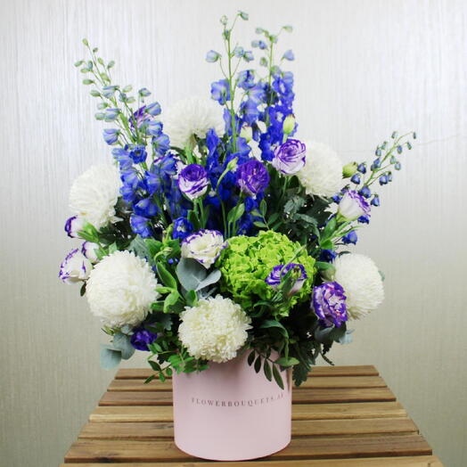 Delphinium Hydrangea Box