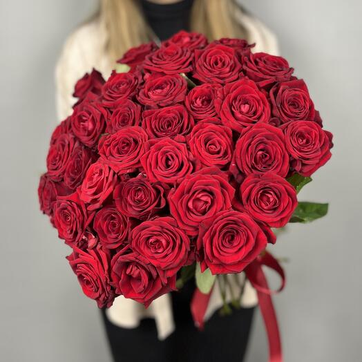 Monobucket of 35 luxurious red roses