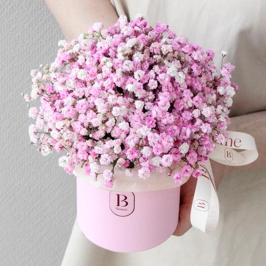 Blume