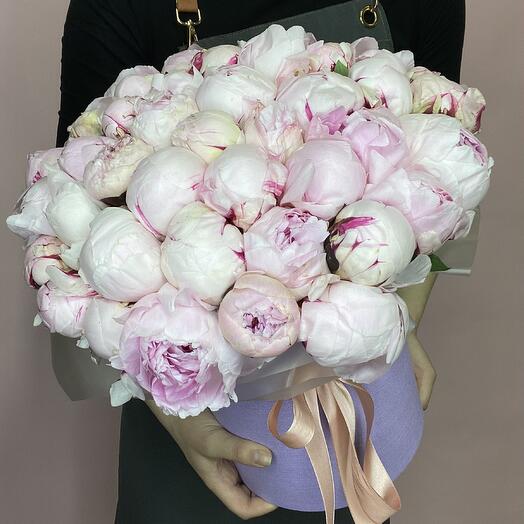 Пионы в коробке