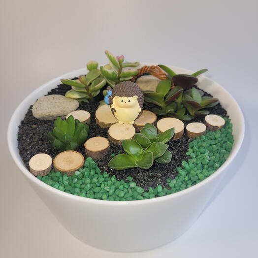 Gifts of the green friend 