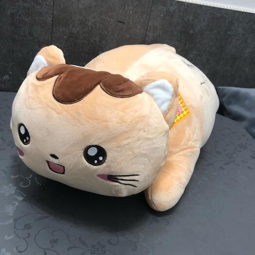 Котик