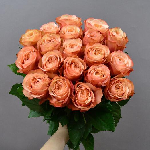Peony Rose Kahala