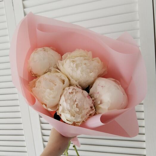 Зефирная нежность 💕Пионы
