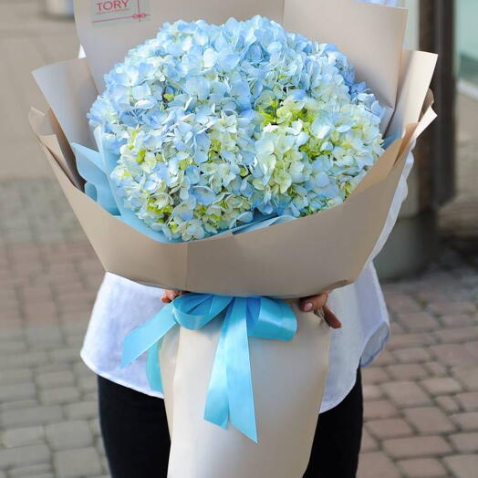 Bouquet of 7 blue hydrangeas