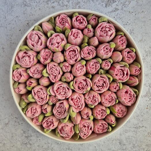 Розовые тюльпаны из зефира XXL