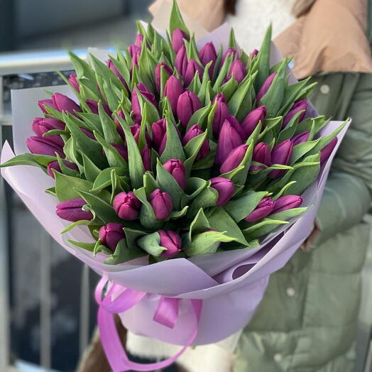 51 Purple Tulips