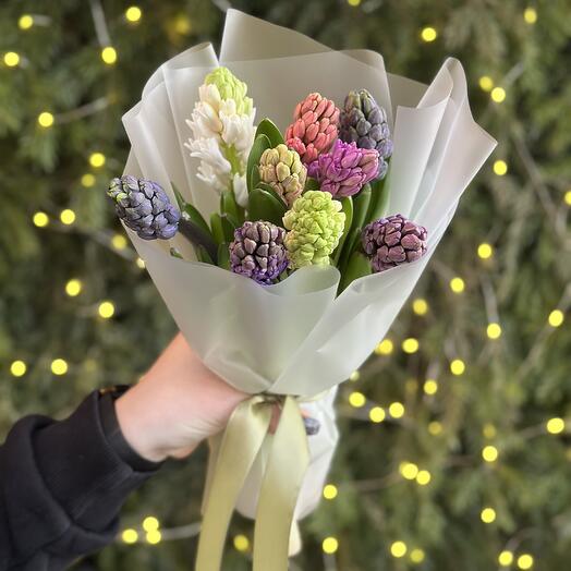 Гиацинты ароматные разноцветные