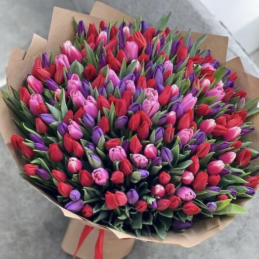 201 tulips ( red , violet , pink )