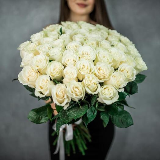 Роза белая 51 штука