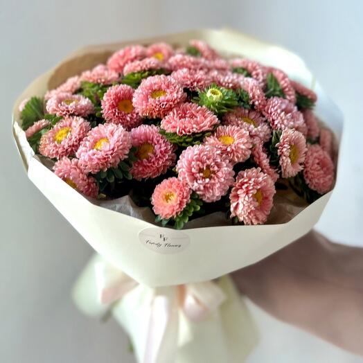 Сезонные астры 💐